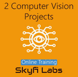 2 Computer Vision Projects Online Project-based Course (Combo Course)  at Online Workshop