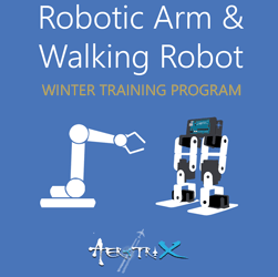 Winter Training Program on Mechatronics - Robotic Arm and Walking Robot 